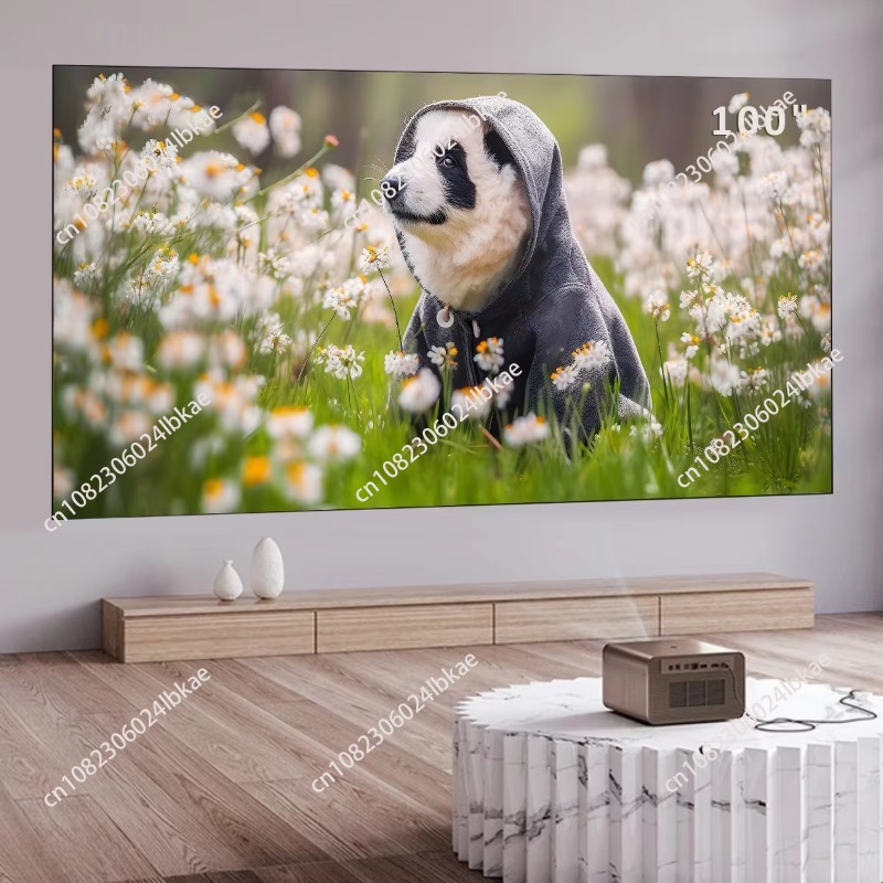 Projector Screen 100 Inch - Schermo di proiezione fisso da 100